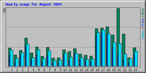 Hourly usage for August 2024