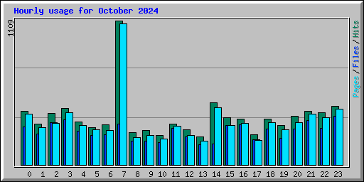 Hourly usage for October 2024