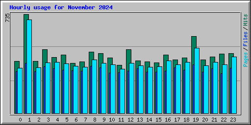 Hourly usage for November 2024